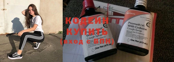 дживик Абаза