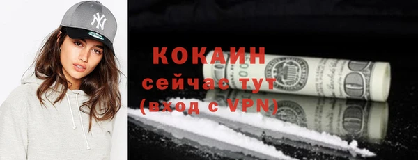 дживик Абаза