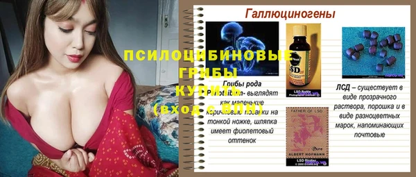 ГАЛЛЮЦИНОГЕННЫЕ ГРИБЫ Абдулино