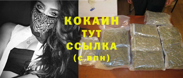дживик Абаза