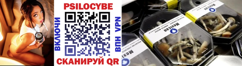 даркнет формула Зеленогорск Псилоцибиновые грибы GOLDEN TEACHER